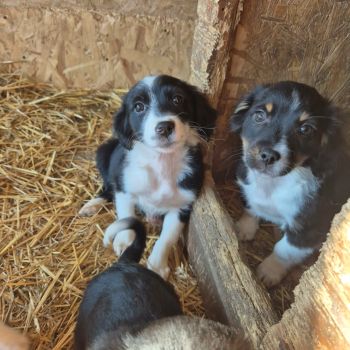 600552133 1323971309485716 3273119334044216368 n