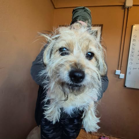 600557949 25509892948651291 3770751058248341120 n