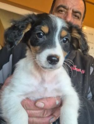 600559778 25508511942122725 8140106245281026529 n