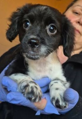 600885643 25508386615468591 2851139503190555404 n