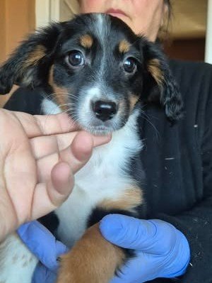 600912583 25508202012153718 4560446206855380756 n