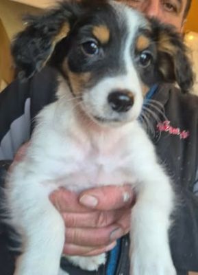 601033646 25508511435456109 3273186427218706894 n