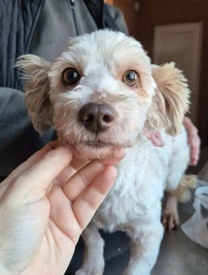 601360852 25509913111982608 7523658774705960195 n