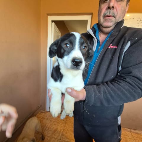 601386273 25509735312000388 4427915297520866419 n