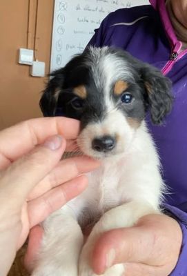 601418250 25508511212122798 873491343390839576 n