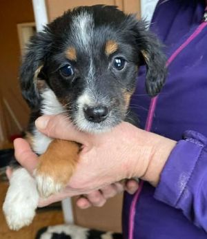 601852406 25508202708820315 728710426899978047 n