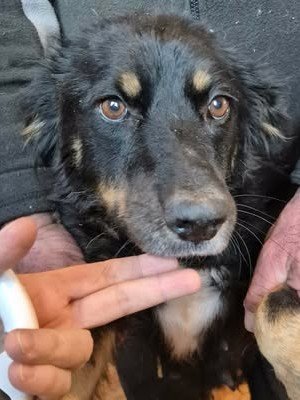 601863456 25502411032732816 9020908835127915045 n