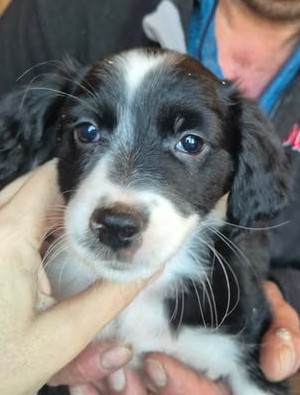 601906141 25508293982144521 3187801701465393429 n