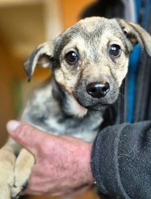 601987039 25508132788827307 2466922880523404666 n