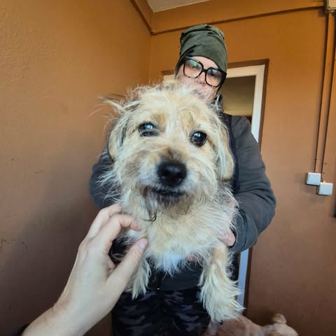 602315534 25509893245317928 6530139079544188543 n