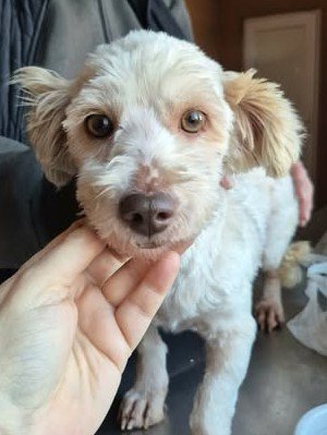 602348870 25509912771982642 4447441827941678010 n