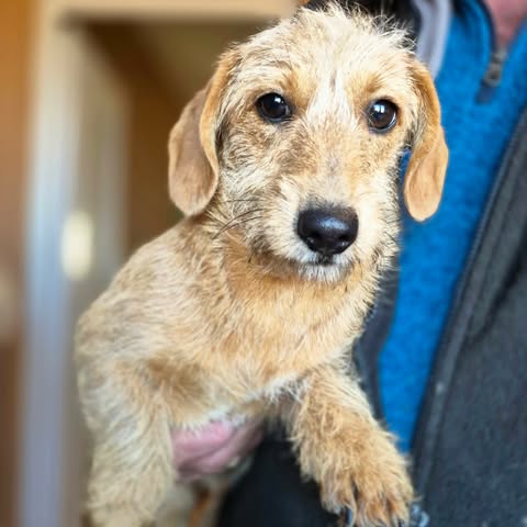 602365318 25509720818668504 7495741250377429822 n