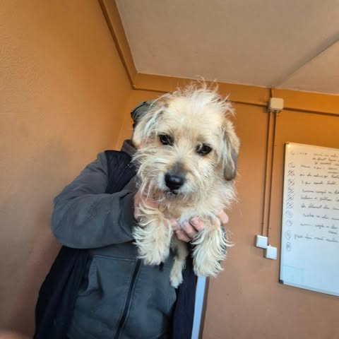 602463095 25509892838651302 6204432694361551104 n