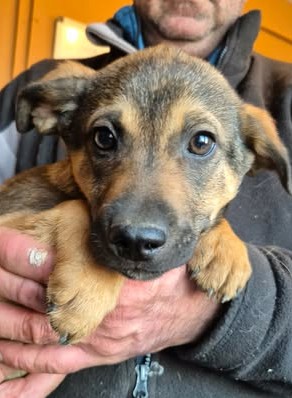 602895625 25508152168825369 210951936905098499 n