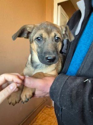 602897196 25508087712165148 6396720901041638514 n