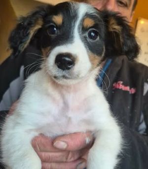 602903153 25508511138789472 8714381697741878725 n