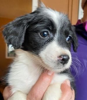 602920507 25508294588811127 3388501935055372218 n