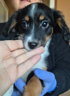 602976432 25508202338820352 7528799478389749560 n