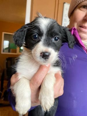 603000666 25508293955477857 2181180859328986289 n