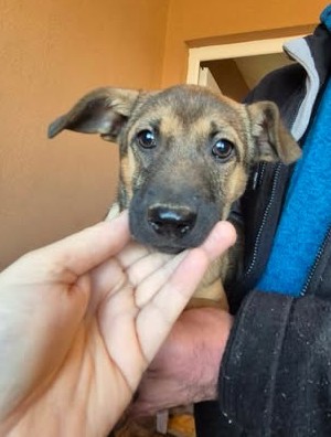 603064841 25508088108831775 8928869331304084407 n