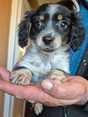 603080365 25508258868814699 5678531380696069807 n