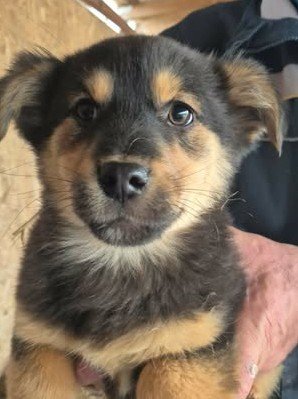 603824239 25556908453949740 4012811999512078980 n