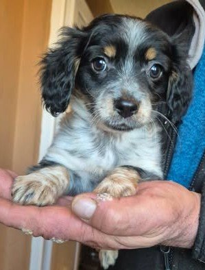 603845650 25508259402147979 4695066109024215563 n