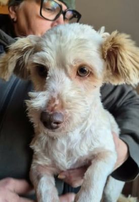 603857386 25509912791982640 1250120370919024191 n