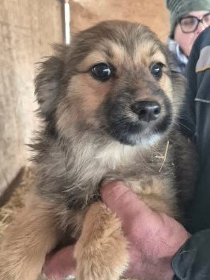 603874266 25556892570617995 7135460289406400351 n