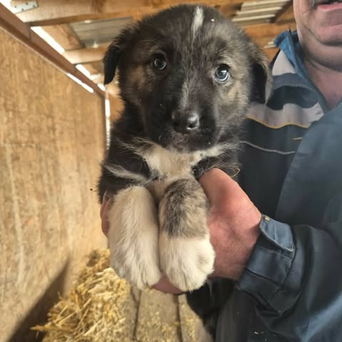 603916466 25556744640632788 6371714757575112232 n