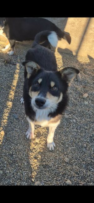 604449650 2963515443857346 8139266968545310436 n