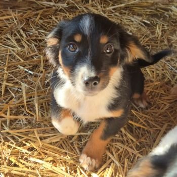 604477624 1367488651769876 7528222315885780210 n