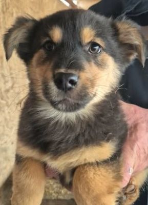 604550397 25556908337283085 3960419895500048247 n