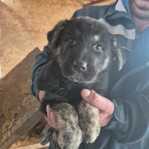 604589478 25556733400633912 3928762789537474904 n