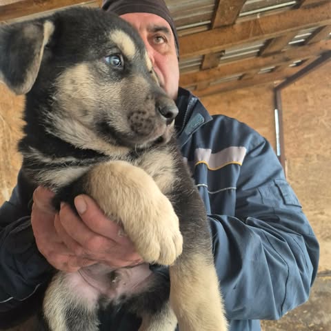 604659620 25556765863963999 6266521447286118143 n