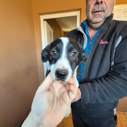 604848165 25509735068667079 915020288032060516 n