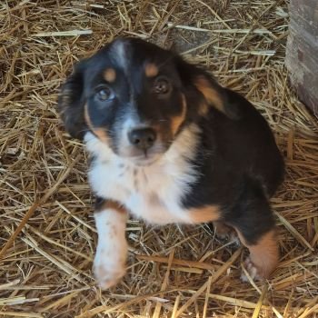 604862125 1312990160585863 8603899855598920822 n