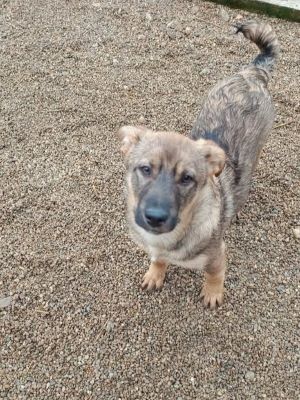 605121936 2713167969067688 8156438468975760596 n