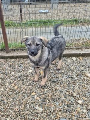 605123290 2713176079066877 4535411495786445558 n