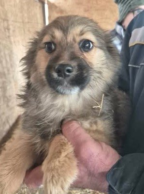 605138397 25556892880617964 8252100354298286266 n