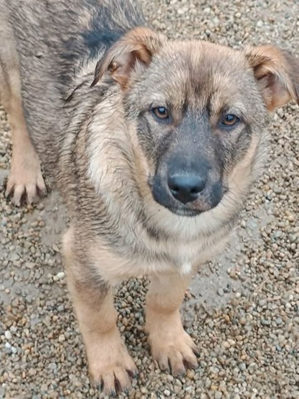 605225974 2713167902401028 7706382584205852879 n