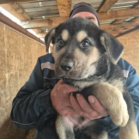 605264419 25556765937297325 6026926789430270358 n