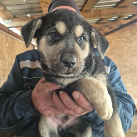 605323244 25556765547297364 3325569480842491511 n