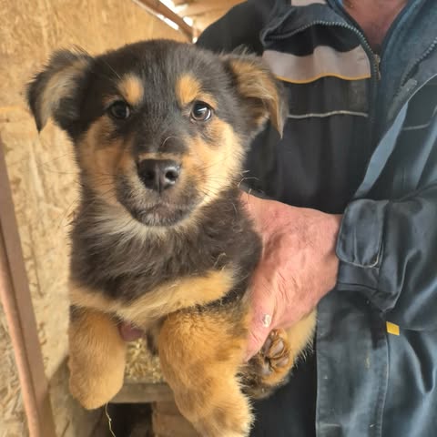 605534813 25556908303949755 6818244150824827368 n