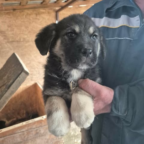 605536111 25556754950631757 195429646058294804 n