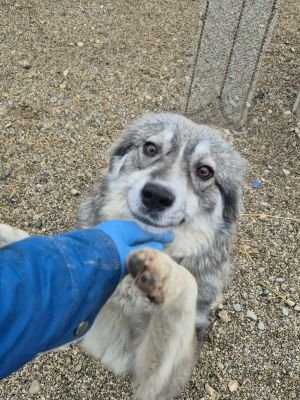 605573316 2138566370010083 3294030426649996192 n