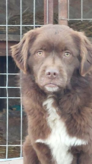 605608081 887281143977970 4224773180993434463 n