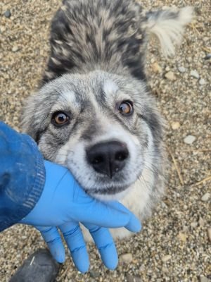 605698148 2138566630010057 6266111540804990427 n