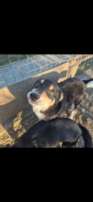 605715754 746013091359858 5992508563348650610 n