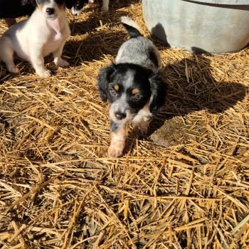 605771225 1491754875812525 4994925853655603210 n